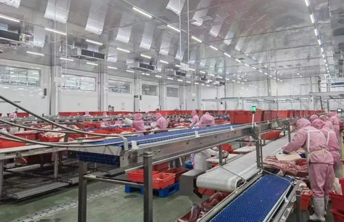 副市長陳曉強深入夏津縣食品生產經營企業督導調研保健食品生產工作