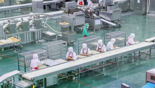 趕訂單，忙生產 食品生產線的繁忙景象