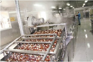 南湖小鎮的蝸牛產業鏈 小蝸牛爬出大世界